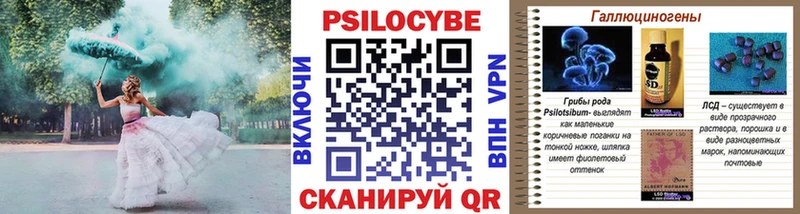 Псилоцибиновые грибы Psilocybine cubensis  Купить  Барыш 